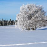 découvrez l’hiver en aveyron : paysages enneigés, villages authentiques, activités de plein air et spécialités gourmandes pour des vacances inoubliables au cœur du sud-ouest.
