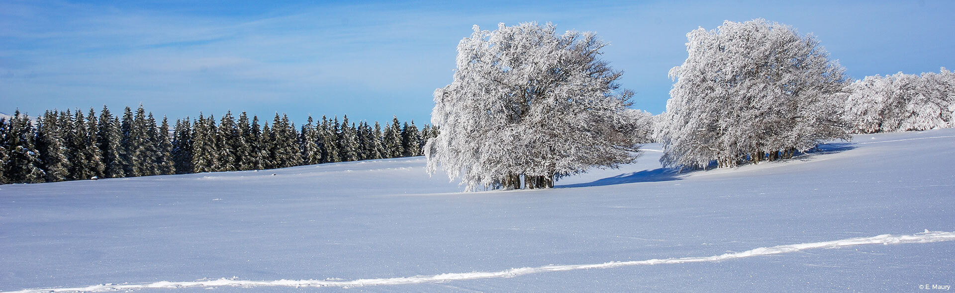 découvrez l’hiver en aveyron : paysages enneigés, villages authentiques, activités de plein air et spécialités gourmandes pour des vacances inoubliables au cœur du sud-ouest.