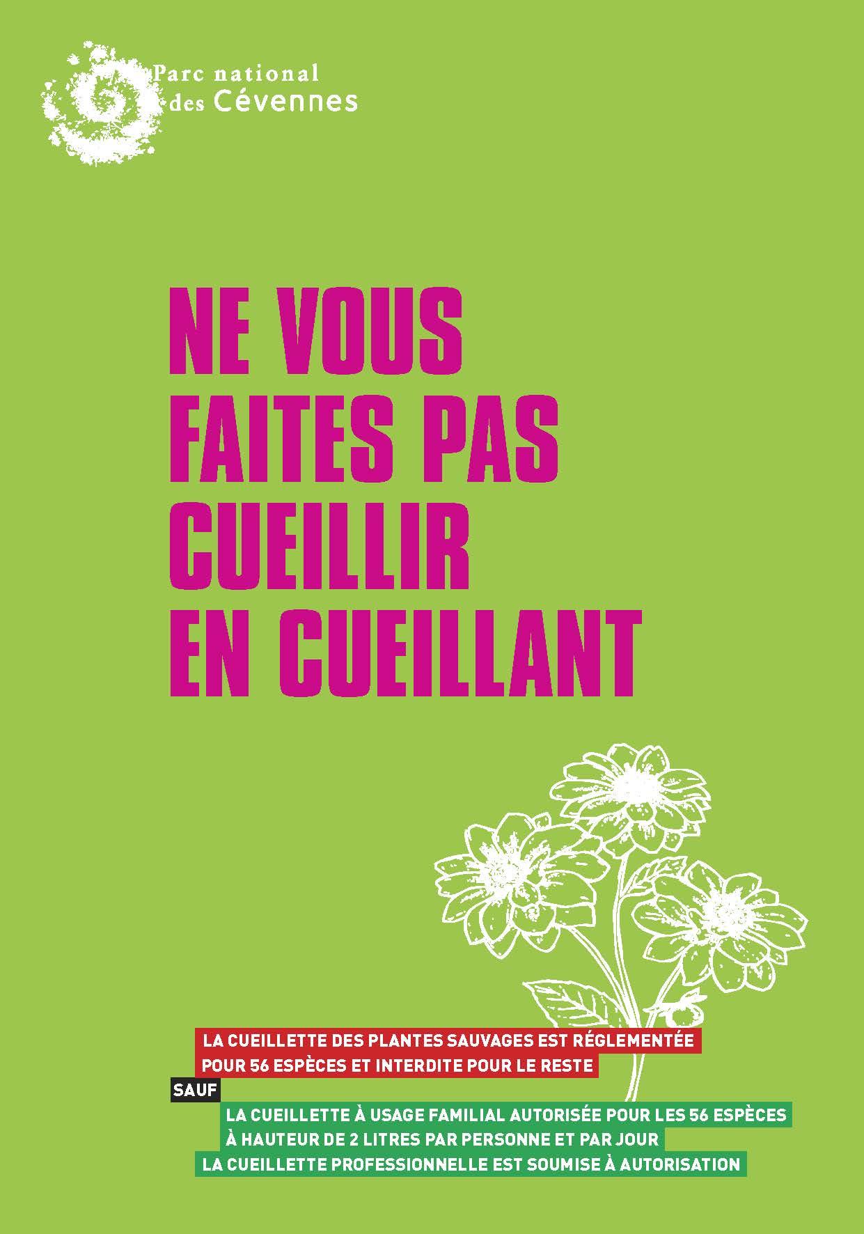 découvrez comment préserver les champignons et les cerfs en lozère : conseils, bonnes pratiques et actions concrètes pour protéger la biodiversité locale tout en profitant de la nature.