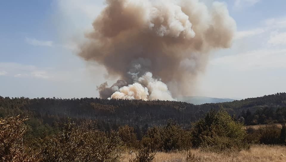 suivez les dernières informations sur l'incendie en aveyron : bilans, zones touchées, interventions des pompiers et conseils de sécurité. restez informé en temps réel.