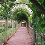 découvrez le charme du jardin d’un château en aveyron : promenade au cœur d’un écrin de verdure mêlant histoire, élégance et nature préservée. parfait pour une visite inoubliable en occitanie.