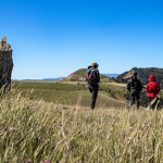 découvrez la lozère à travers une balade authentique, des rencontres inoubliables et un film qui met en lumière la beauté naturelle et humaine de ce territoire unique.