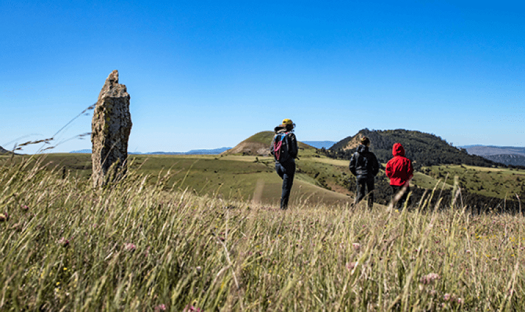 découvrez la lozère à travers une balade authentique, des rencontres inoubliables et un film qui met en lumière la beauté naturelle et humaine de ce territoire unique.